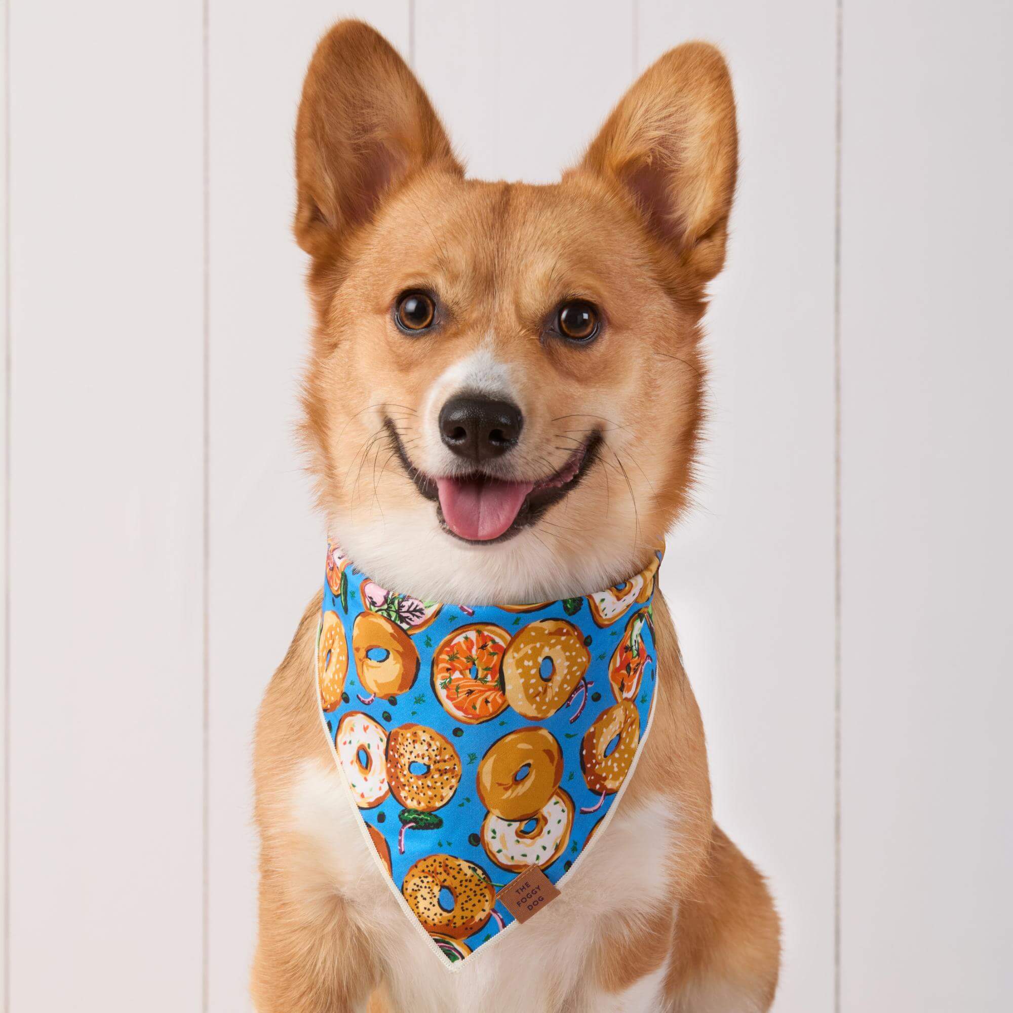 Printfresh x TFD Bagels & Schmear Mom + Dog Matching Gift Set