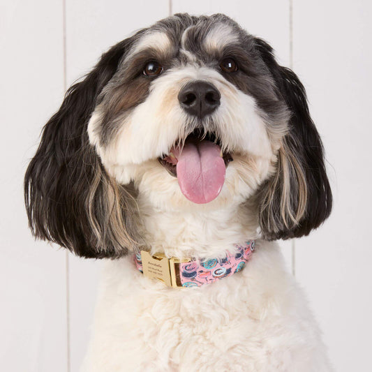 #Modeled by Reese (45lbs) in Medium