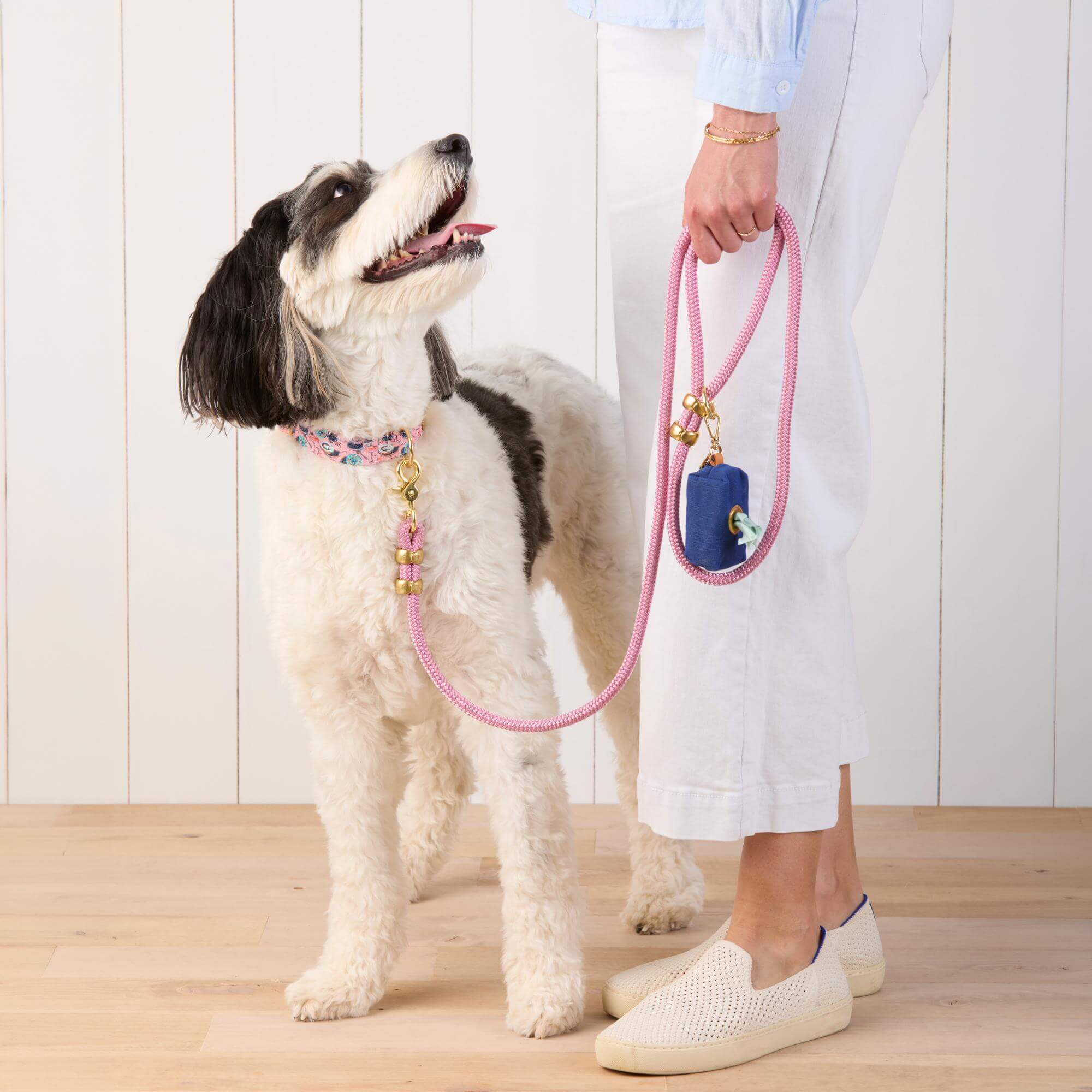 Orchid Marine Rope Dog Leash – The Foggy Dog