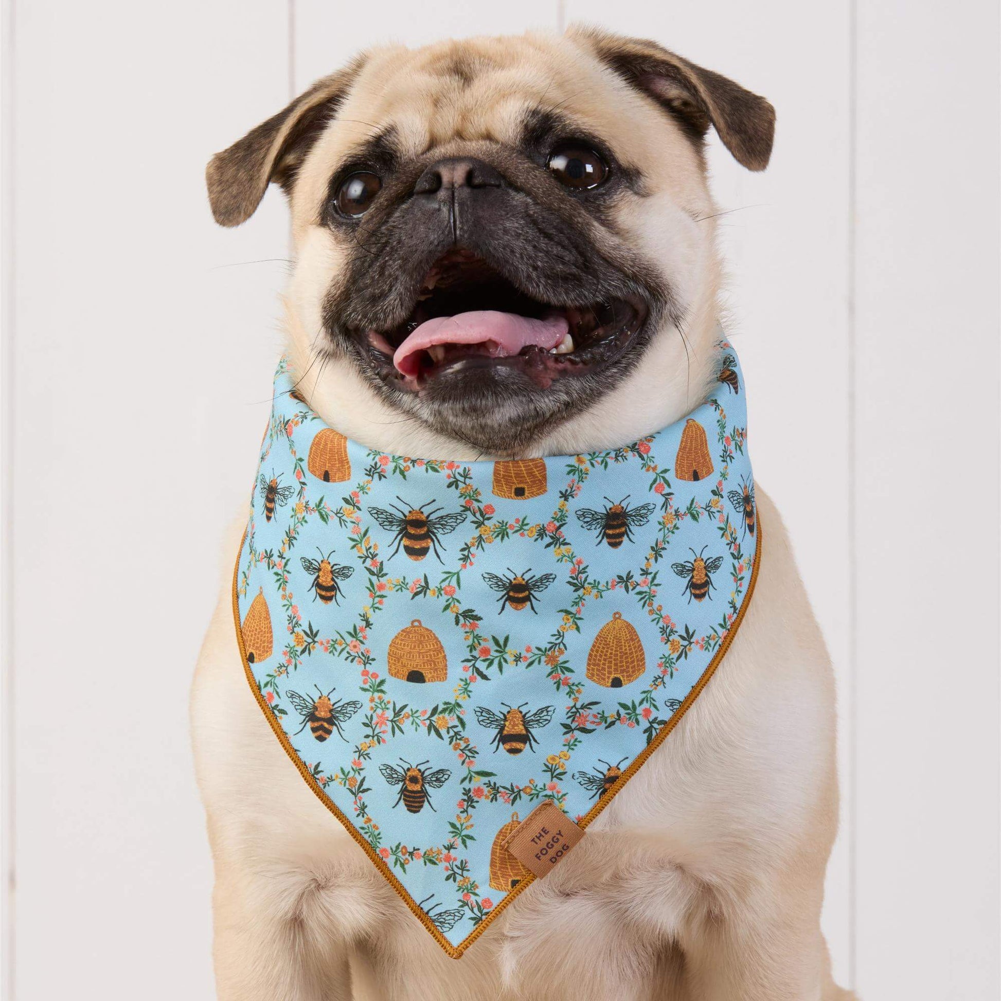 #Modeled by Greg (23lbs) in Medium