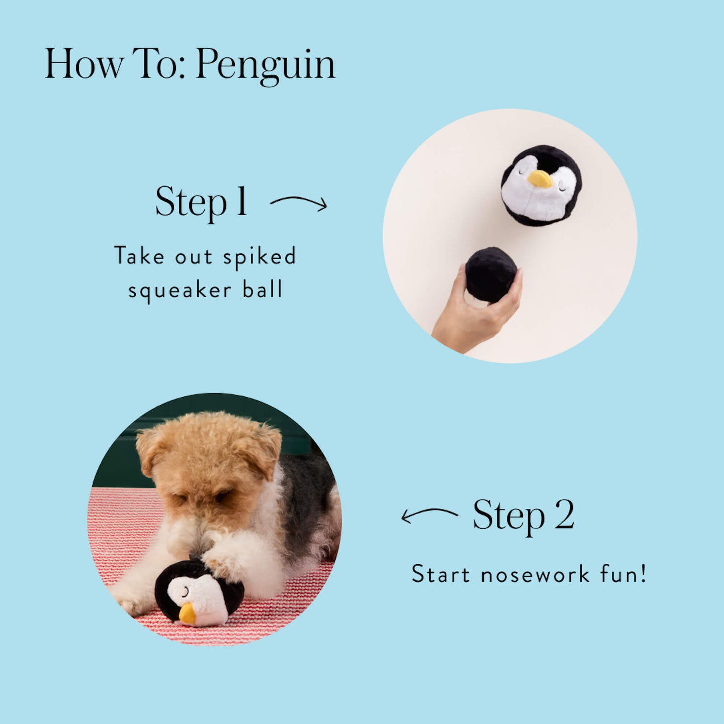 Penguin 2-in-1 Bounce Dog Toy from The Foggy Dog