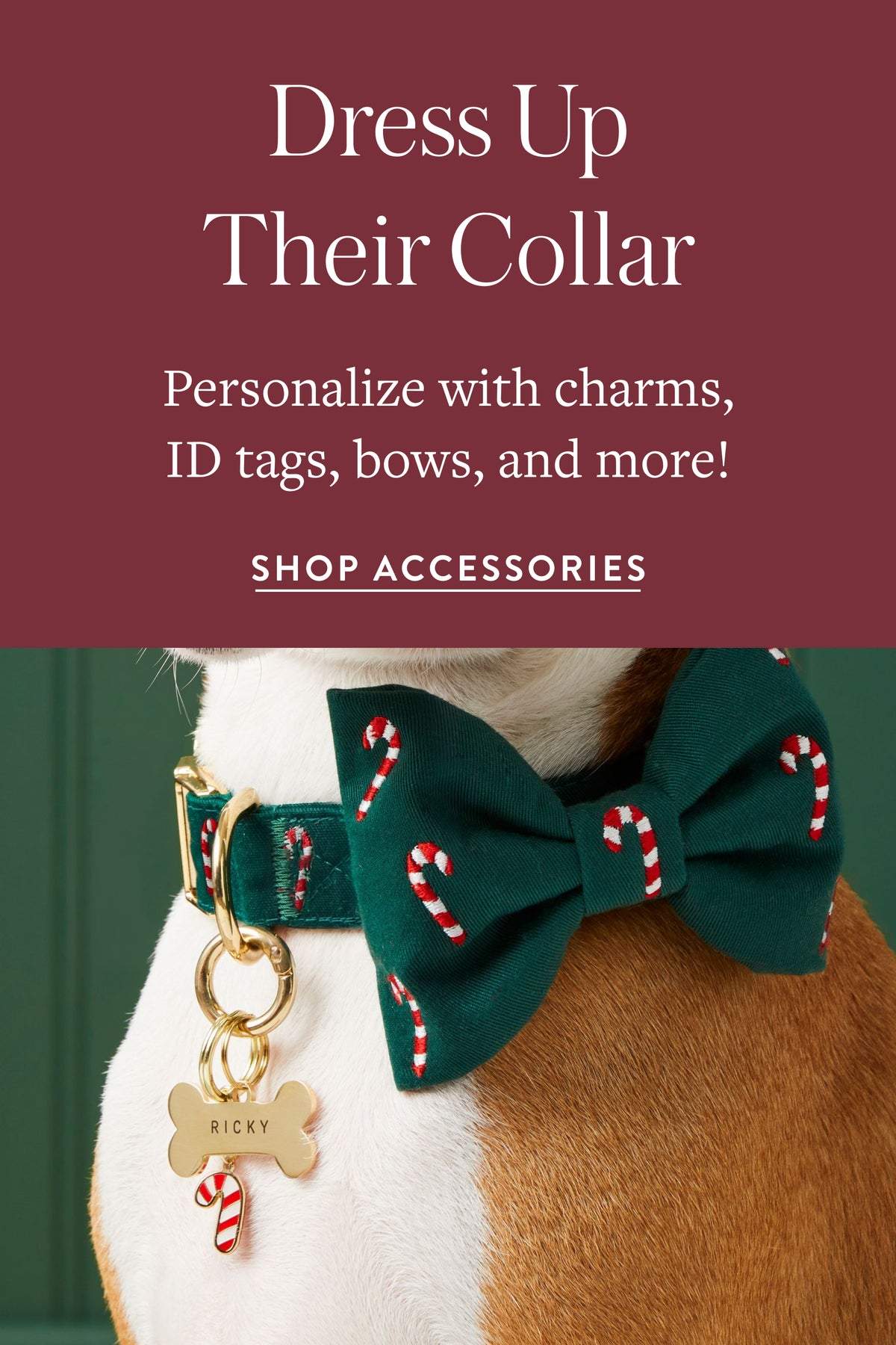 Dog Collar Accessories at The Foggy Dog