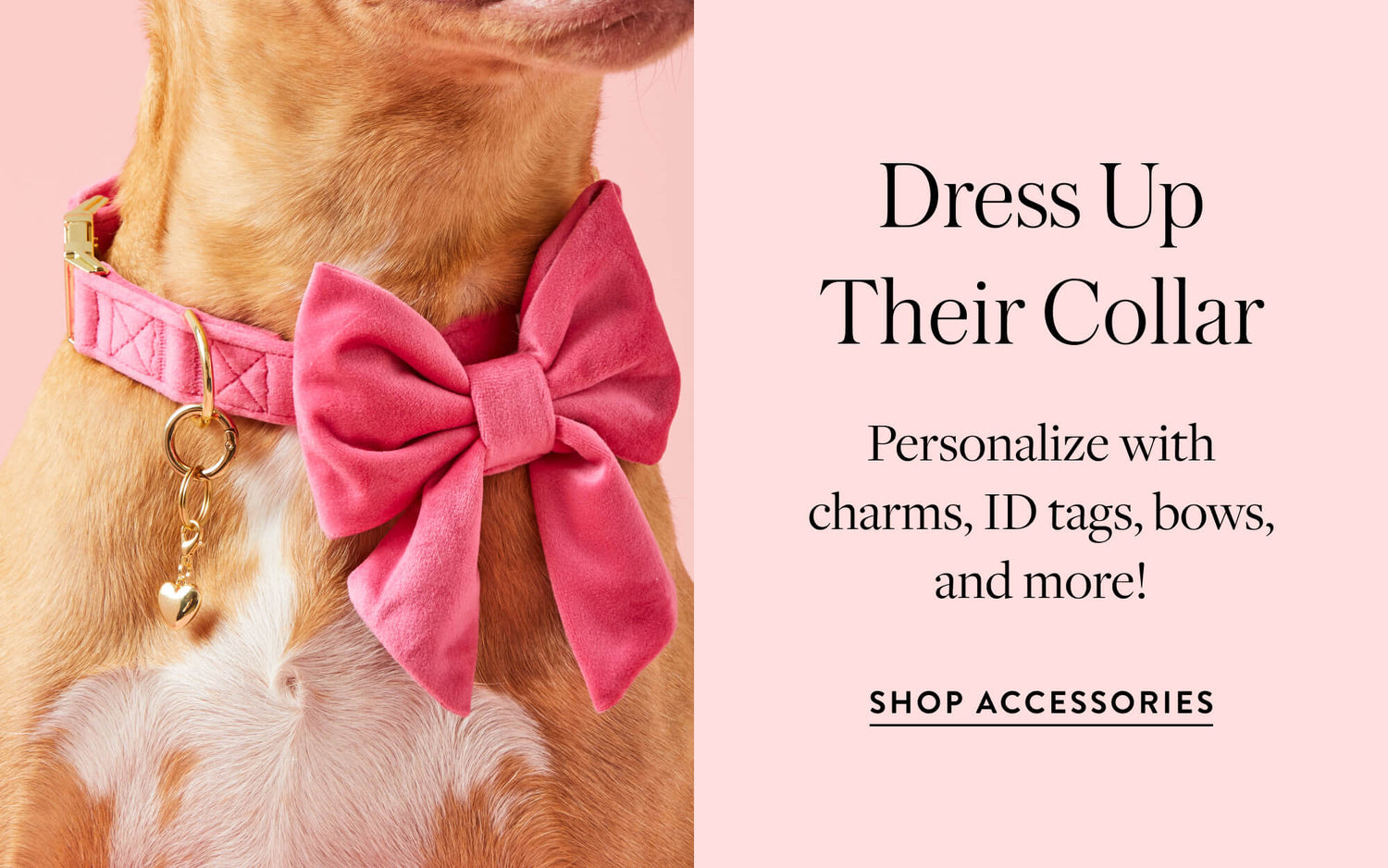 Dog Collar Accessories at The Foggy Dog