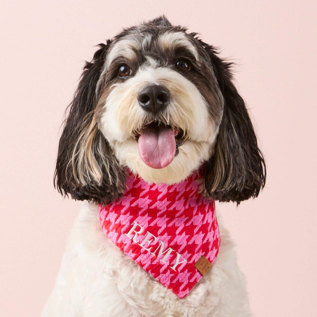 #Modeled by Reese (40lbs) in Medium