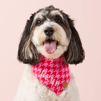 #Modeled by Reese (40lbs) in Medium