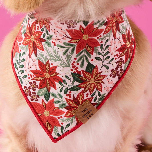 Poinsettia Dog Bandana view 2
