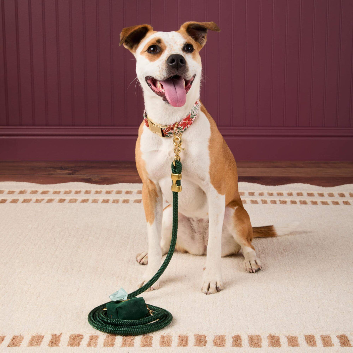 #Modeled by Sadie (27lbs) in a Medium collar and Standard leash