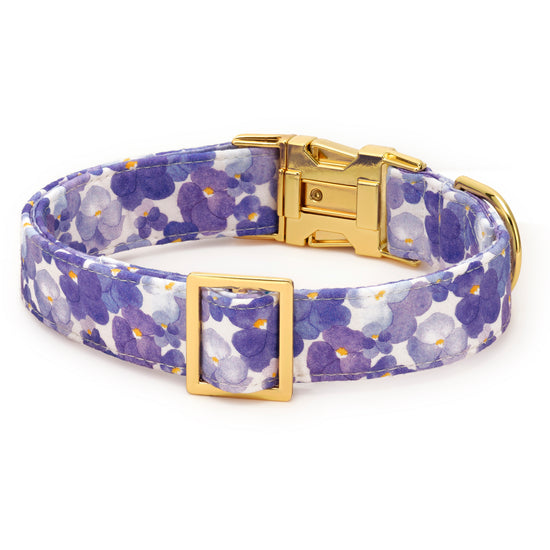 Pressed Pansies Dog Collar from The Foggy Dog