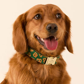 #Modeled by Maple (45lbs) in Medium