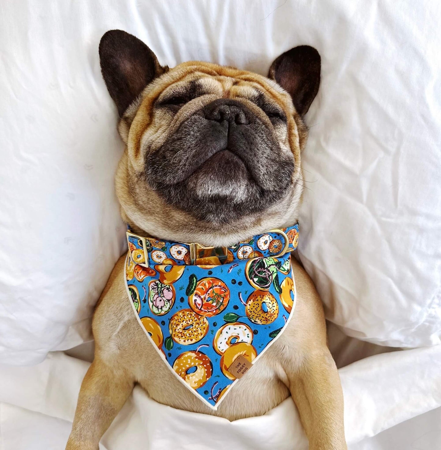 Printfresh x TFD Bagels & Schmear Dog Bandana