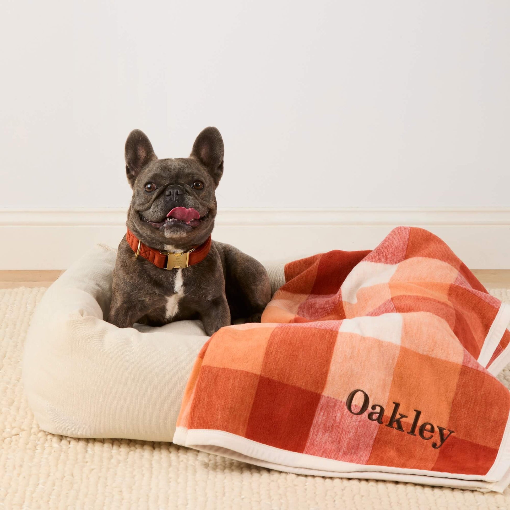ChappyWrap Pumpkin Spice Blanket The Foggy Dog