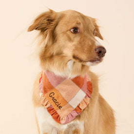 #Modeled by Kina (60lbs) in Large