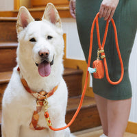 #Modeled by Mochi (70lbs) in Large