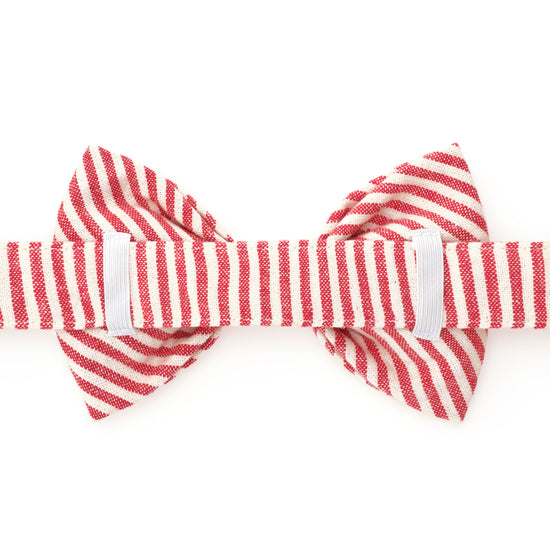 Red Stripe Bow Tie Collar from The Foggy Dog