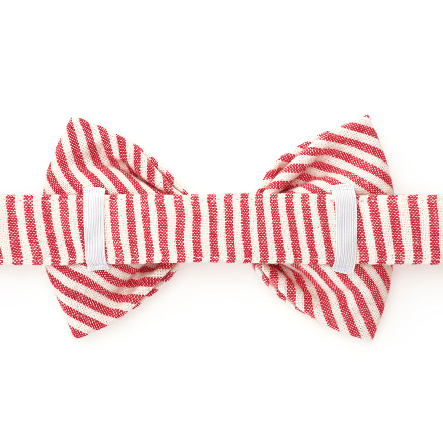Red Stripe Dog Bow Tie – The Foggy Dog