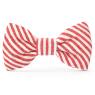 Red Stripe Dog Bow Tie from The Foggy Dog