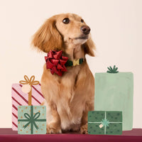 Red Gift Bow Dog Collar Attachment from The Foggy Dog