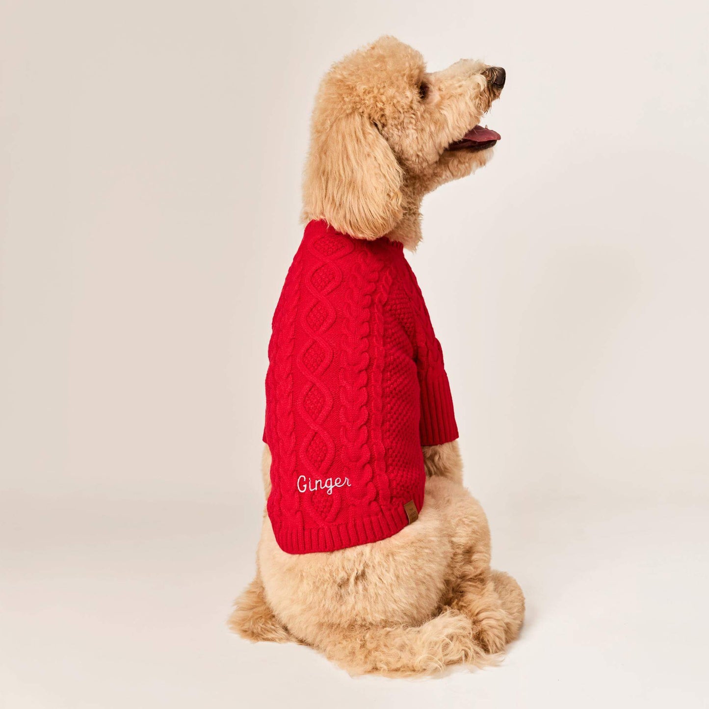 #Modeled by Luna (40lbs) in Large