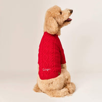 #Modeled by Luna (40lbs) in Large
