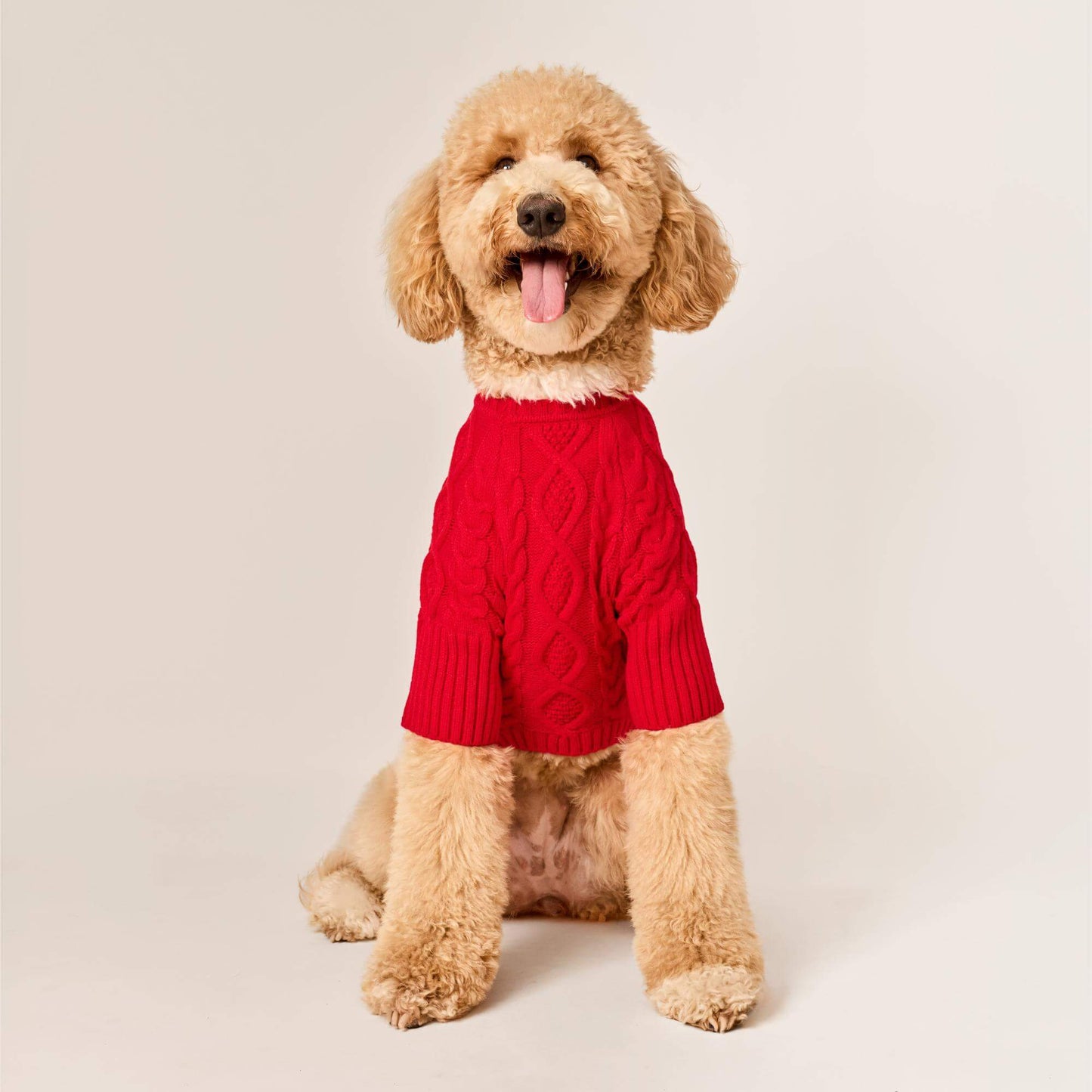 #Modeled by Luna (40lbs) in Large
