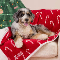 #Modeled by Blue (25lbs) on Midi