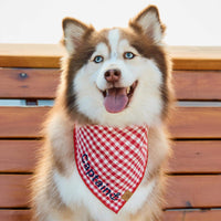 #Modeled by Rouka (36lbs) in Medium