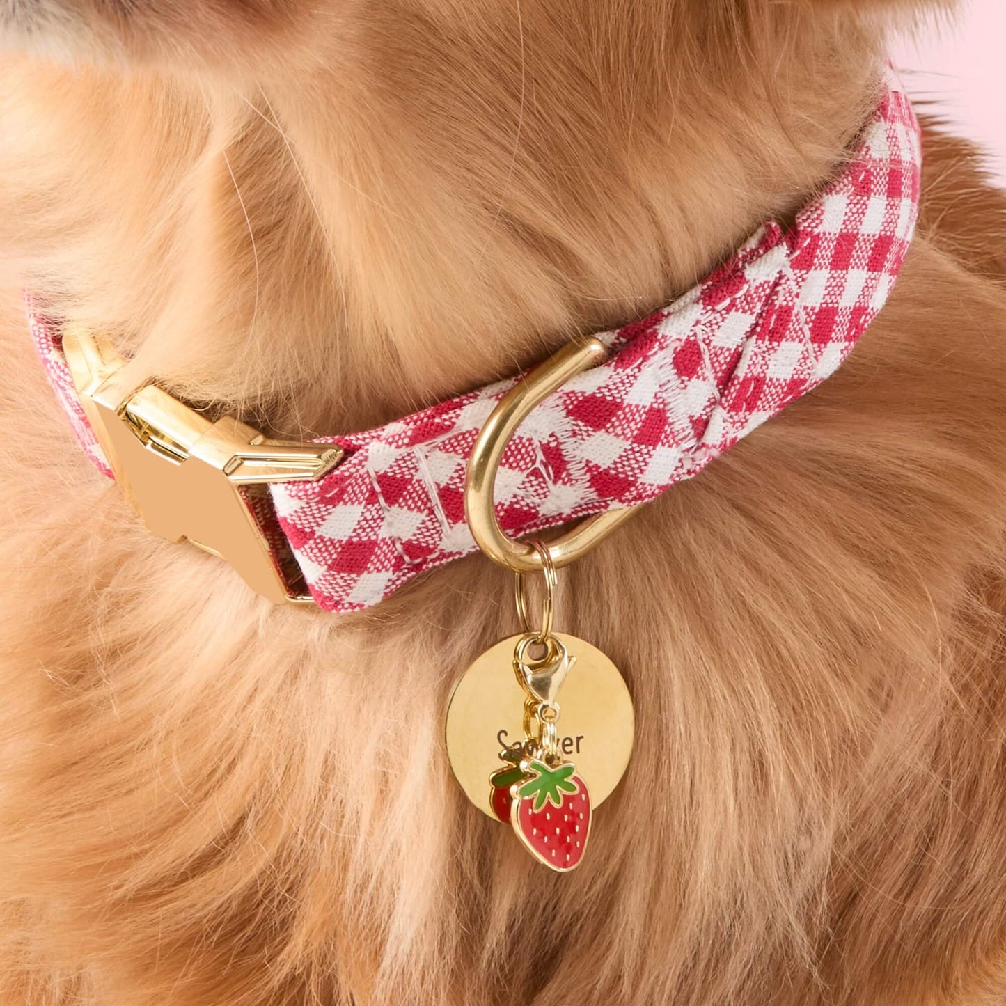 Strawberry Collar Charm from The Foggy Dog