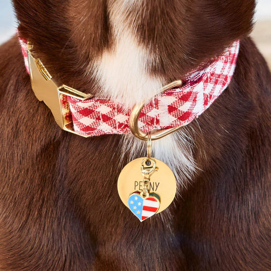 I Heart America Collar Charm from The Foggy Dog