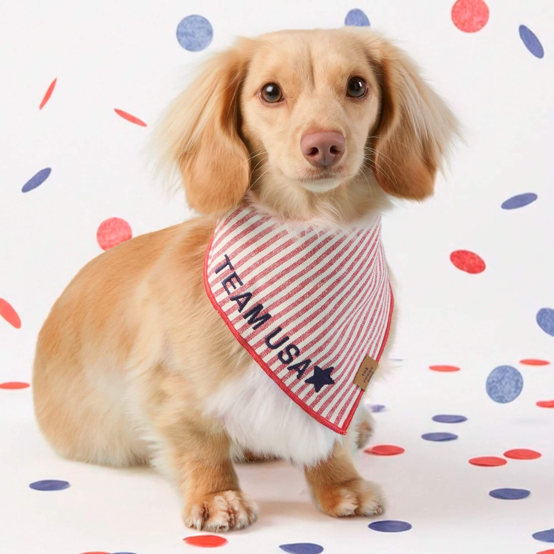 #Modeled by Finley (11lbs) in Small