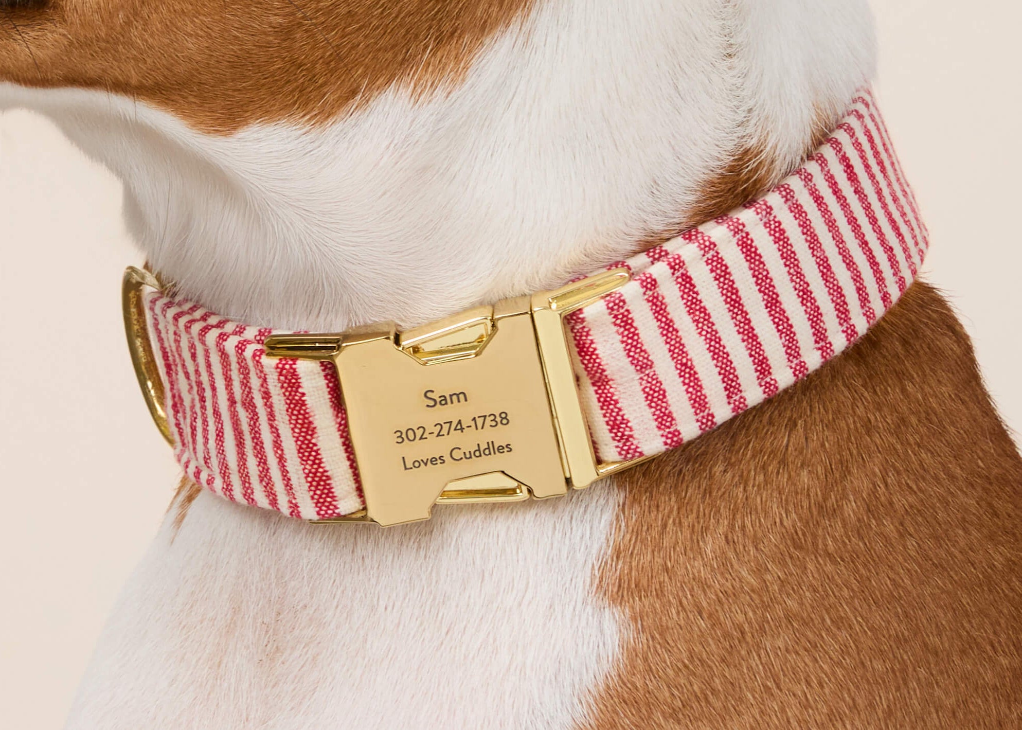 Red Stripe Dog Collar with Engraving from The Foggy Dog