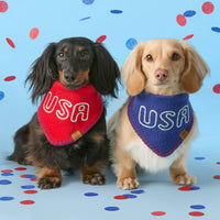 #Modeled by Hank (11lbs) and Finley (11lbs) both in Small