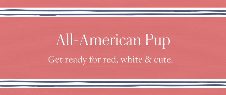 All-American Pup Red White and Blue at The Foggy Dog