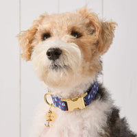 Anchor Collar Charm from The Foggy Dog