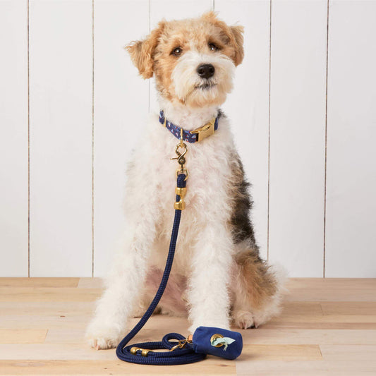 #Modeled by Sesame (27lbs) in a Medium collar and Standard leash