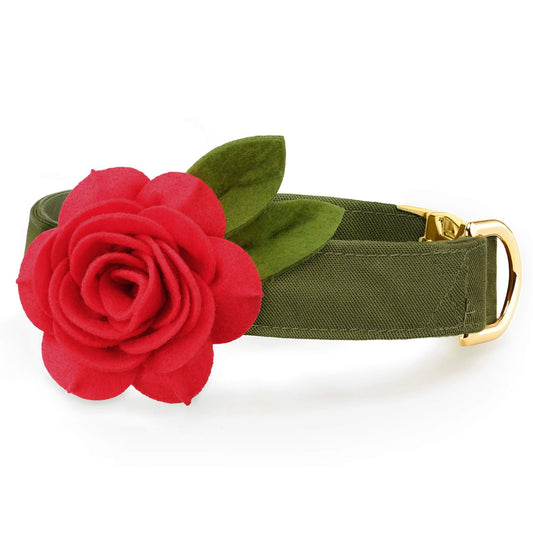 Red Rose Dog Collar Flower Set from The Foggy Dog