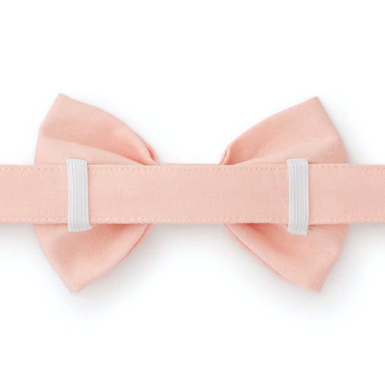 Rose Bud Bow Tie Collar from The Foggy Dog