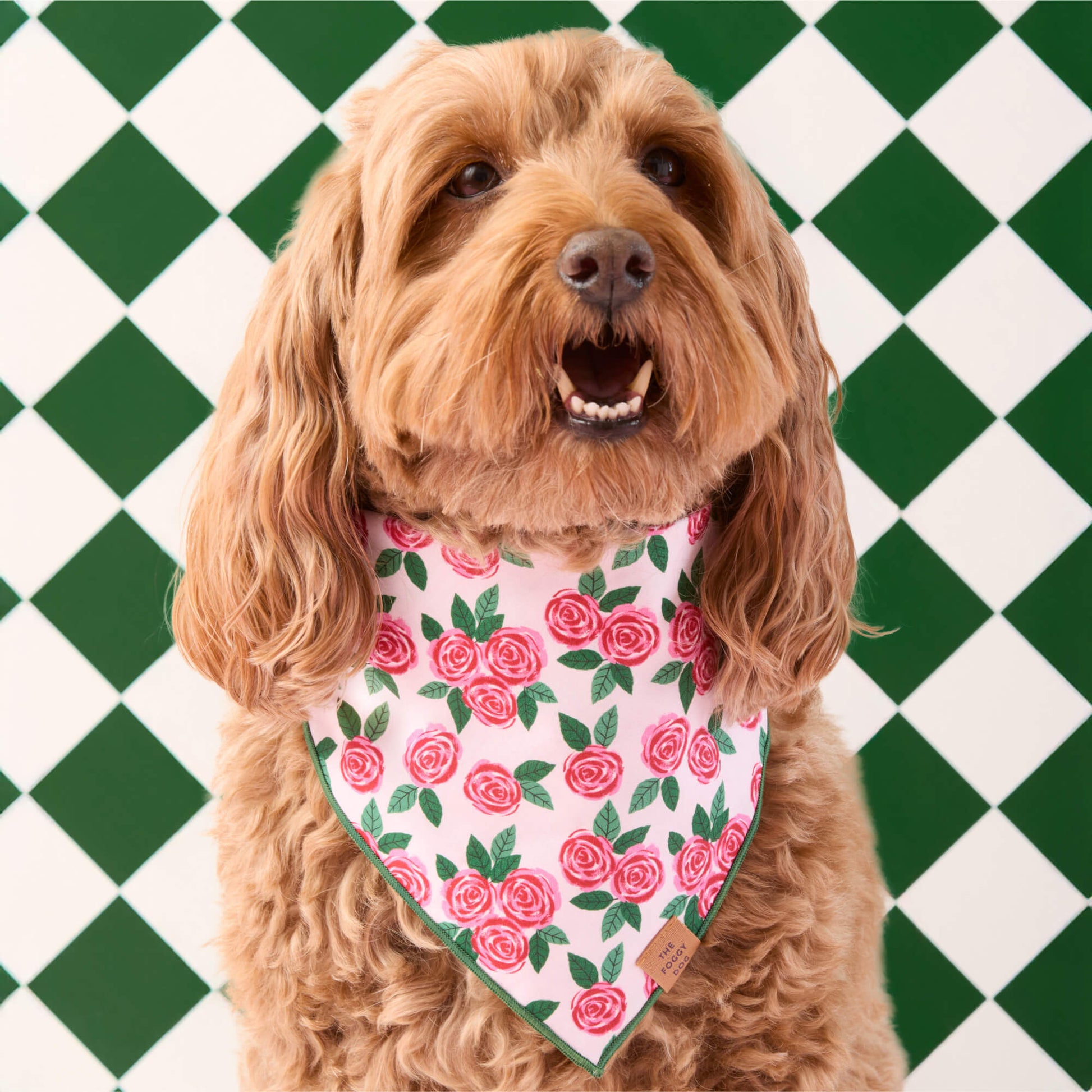 #Modeled by Ruby (27lbs) in Medium