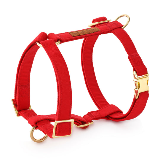 Ruby Dog Harness from The Foggy Dog