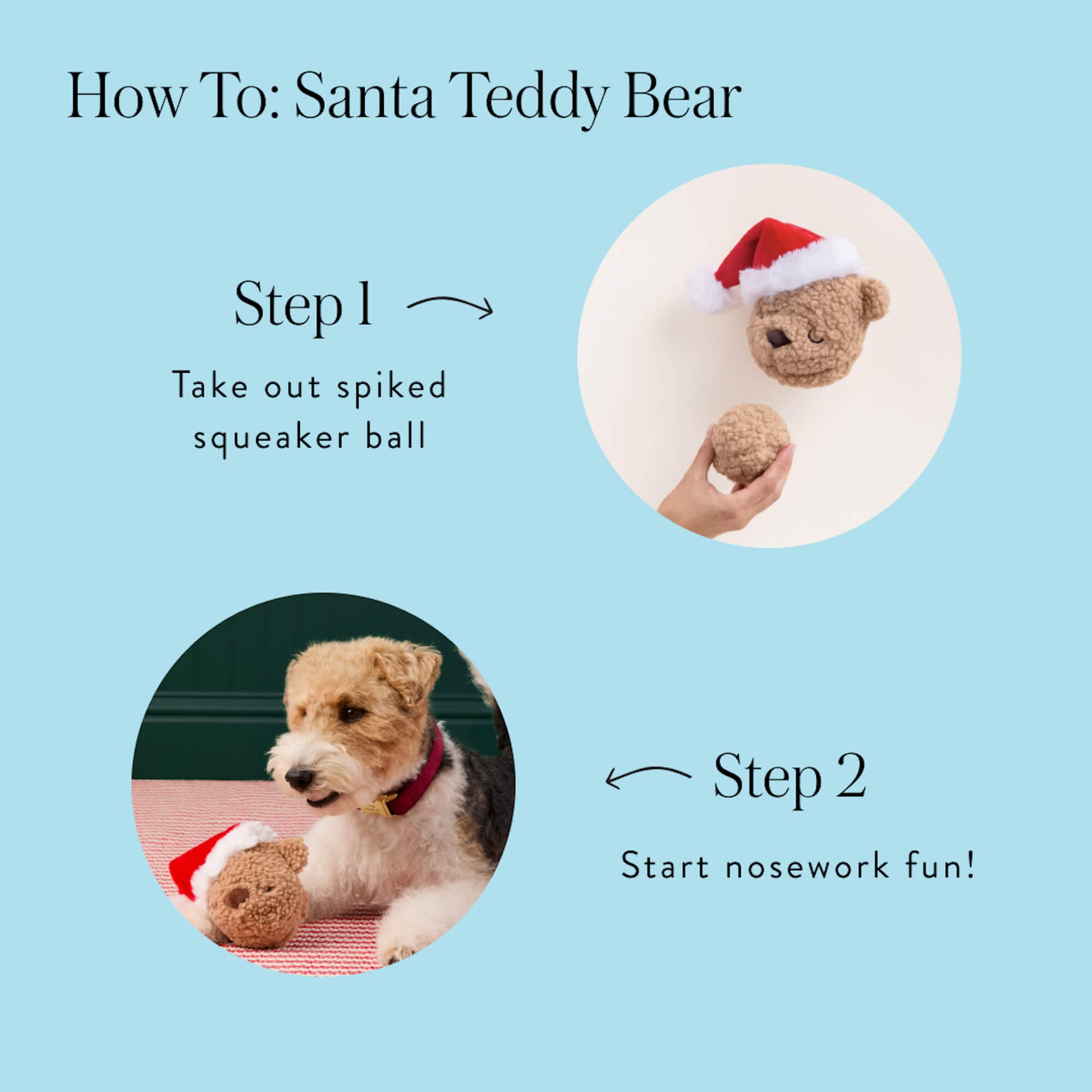 Santa Teddy Bear 2-in-1 Bounce Dog Toy from The Foggy Dog