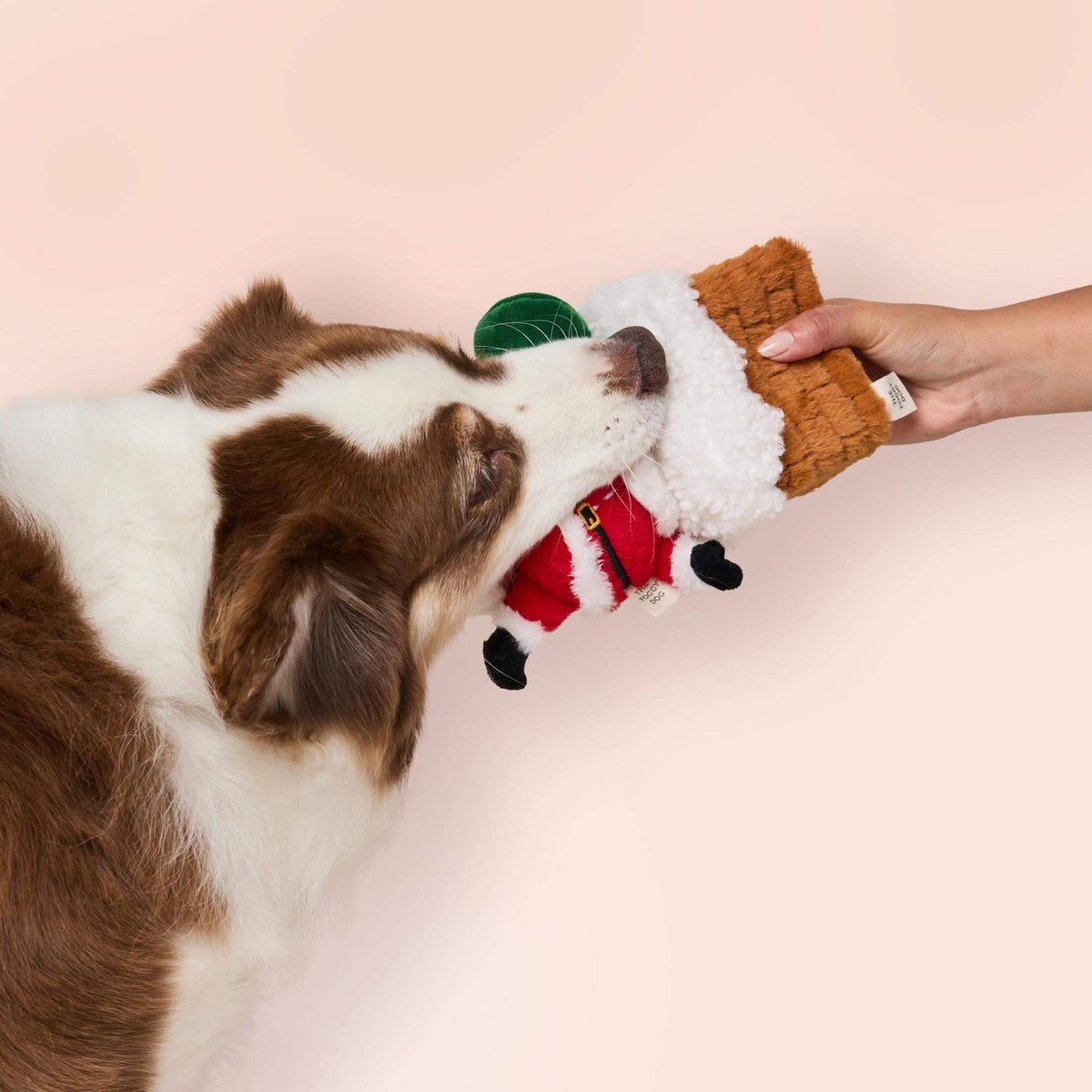 Here Comes Santa Interactive Snuffle Dog Toy from The Foggy Dog