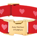 Hearts Embroidered Dog Collar