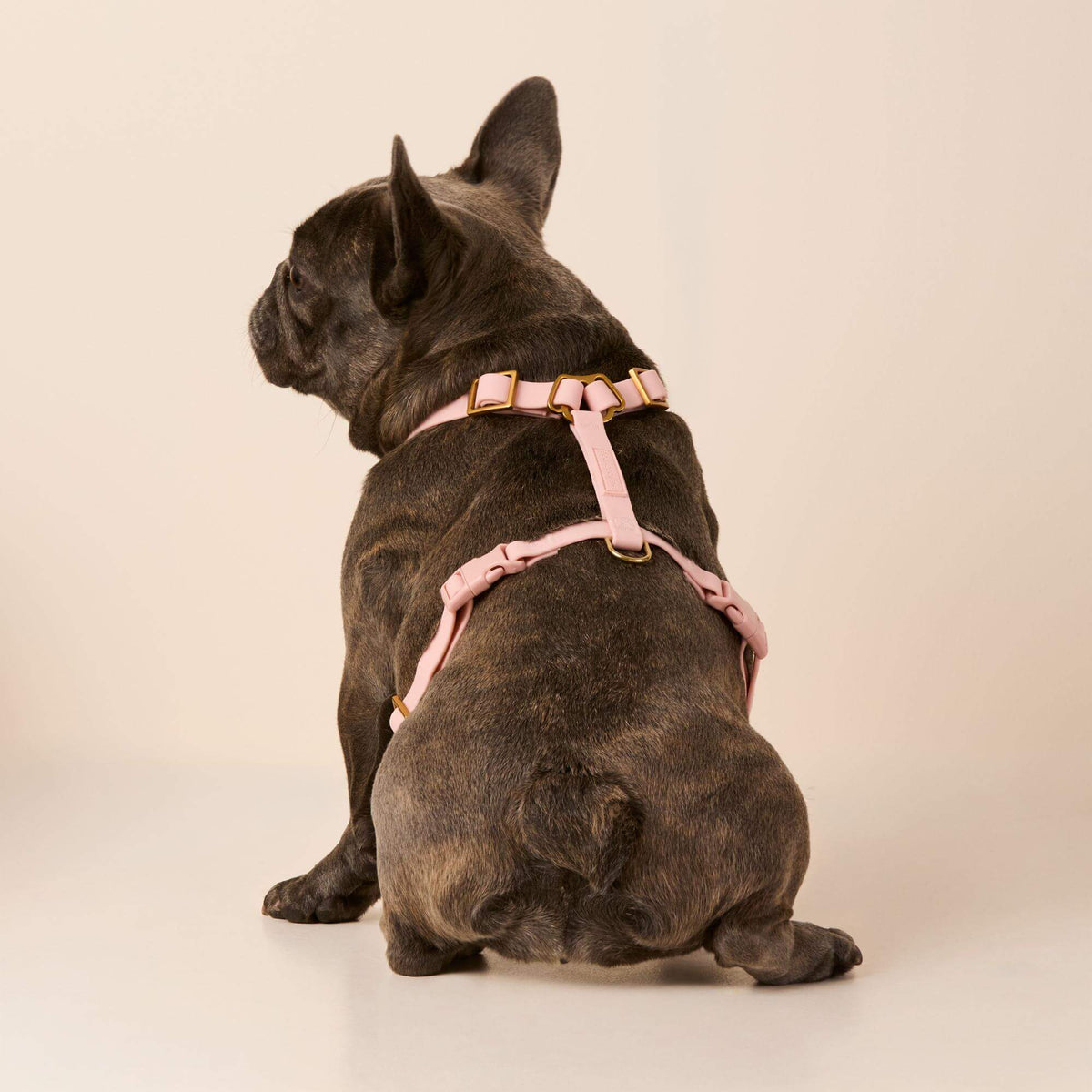 Active Flex Dog Harness (XS/S), Shell view 5