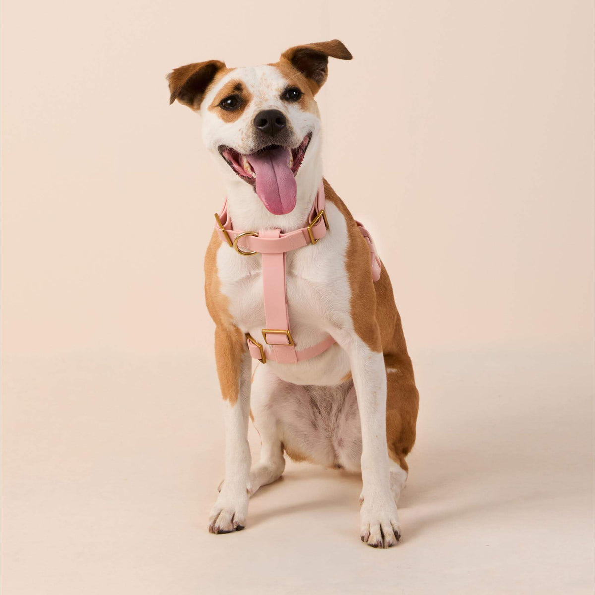 Active Flex Dog Harness - With Handle (M/L), Shell view 3
