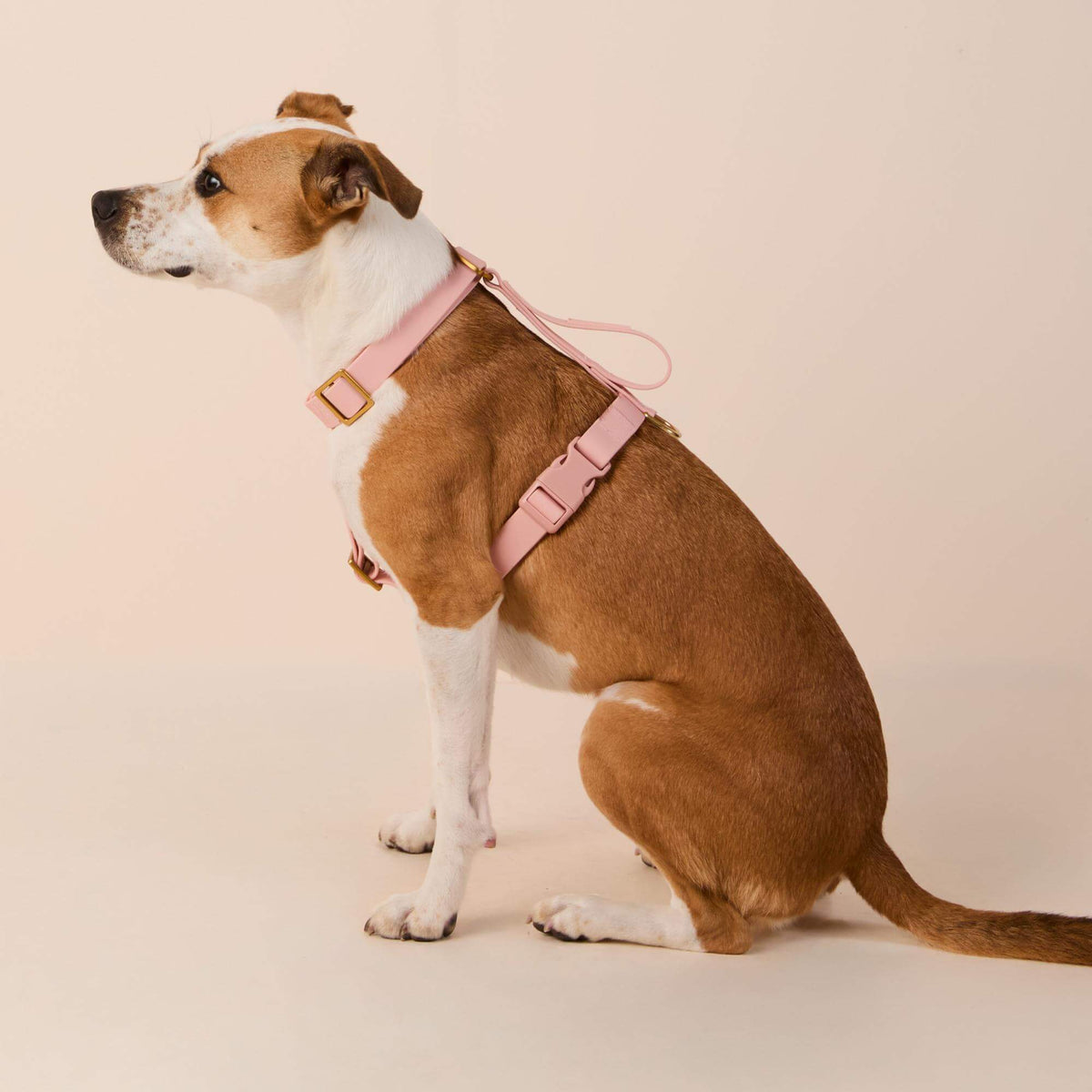 Active Flex Dog Harness - With Handle (M/L), Shell view 4