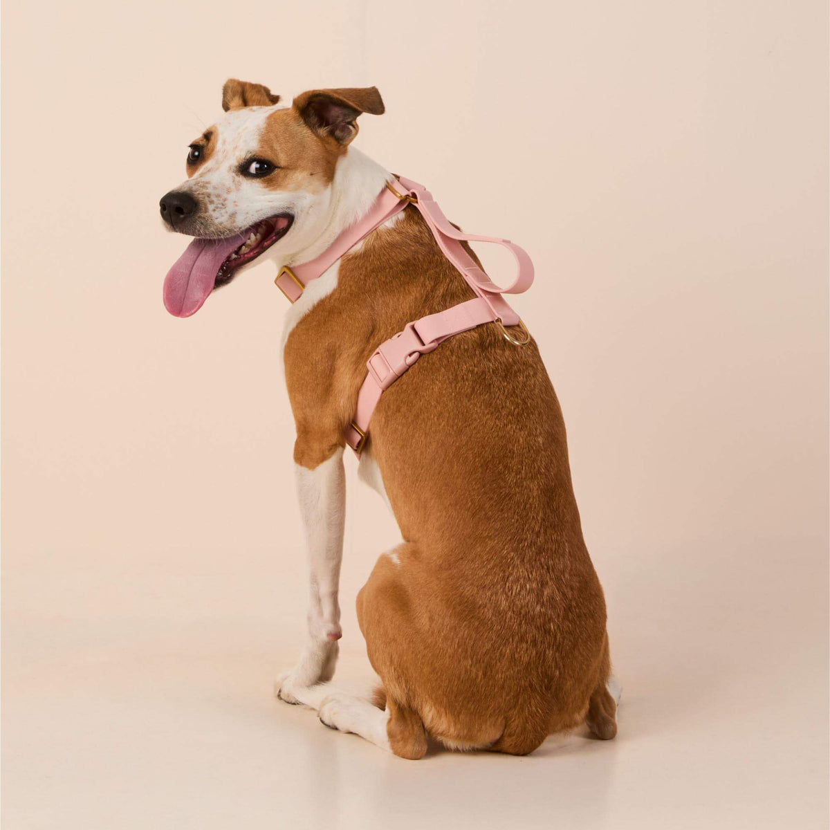 Active Flex Dog Harness - With Handle (M/L), Shell view 5