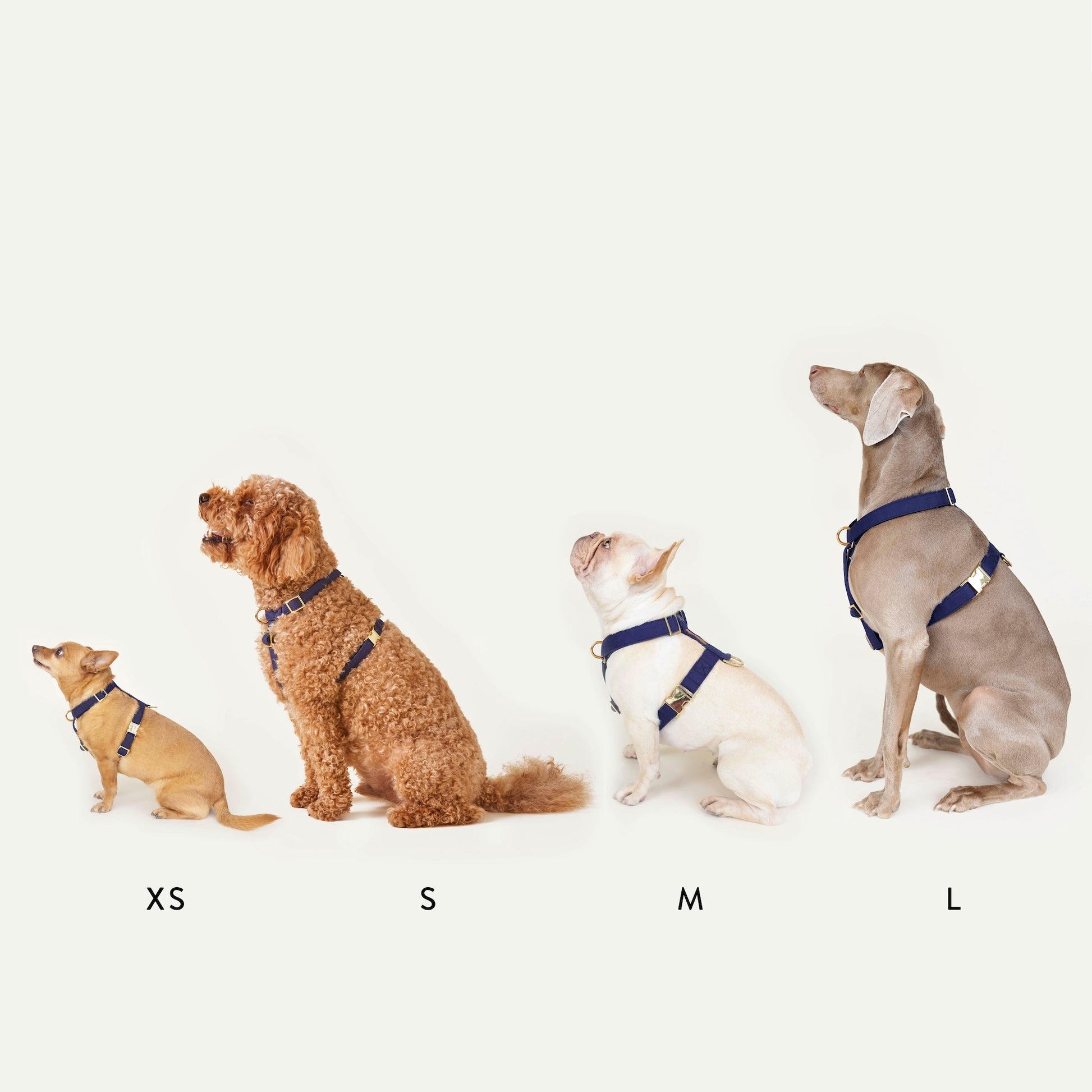 Ocean Dog Harness – The Foggy Dog1