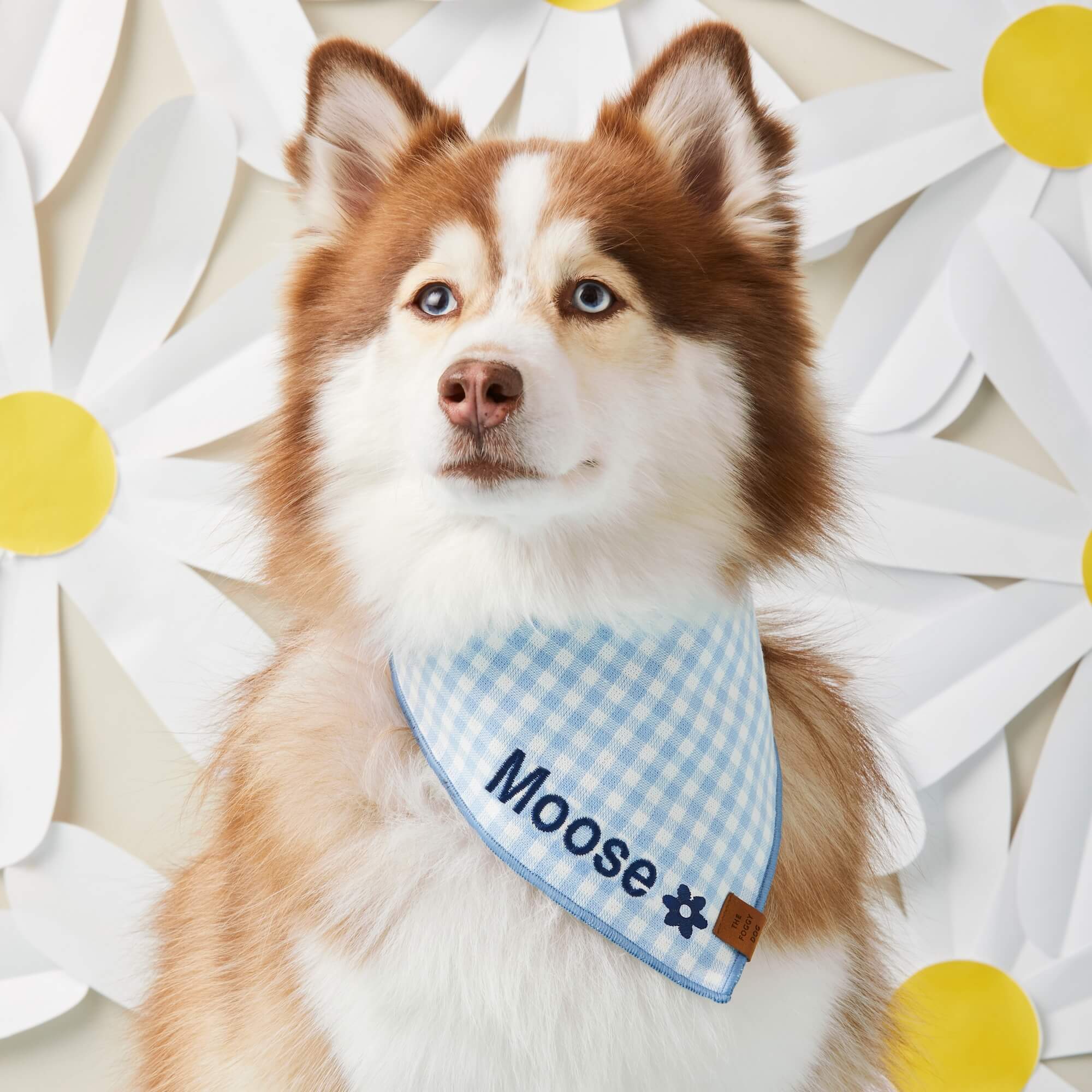 #Modeled by Rouka (30lbs) in Medium