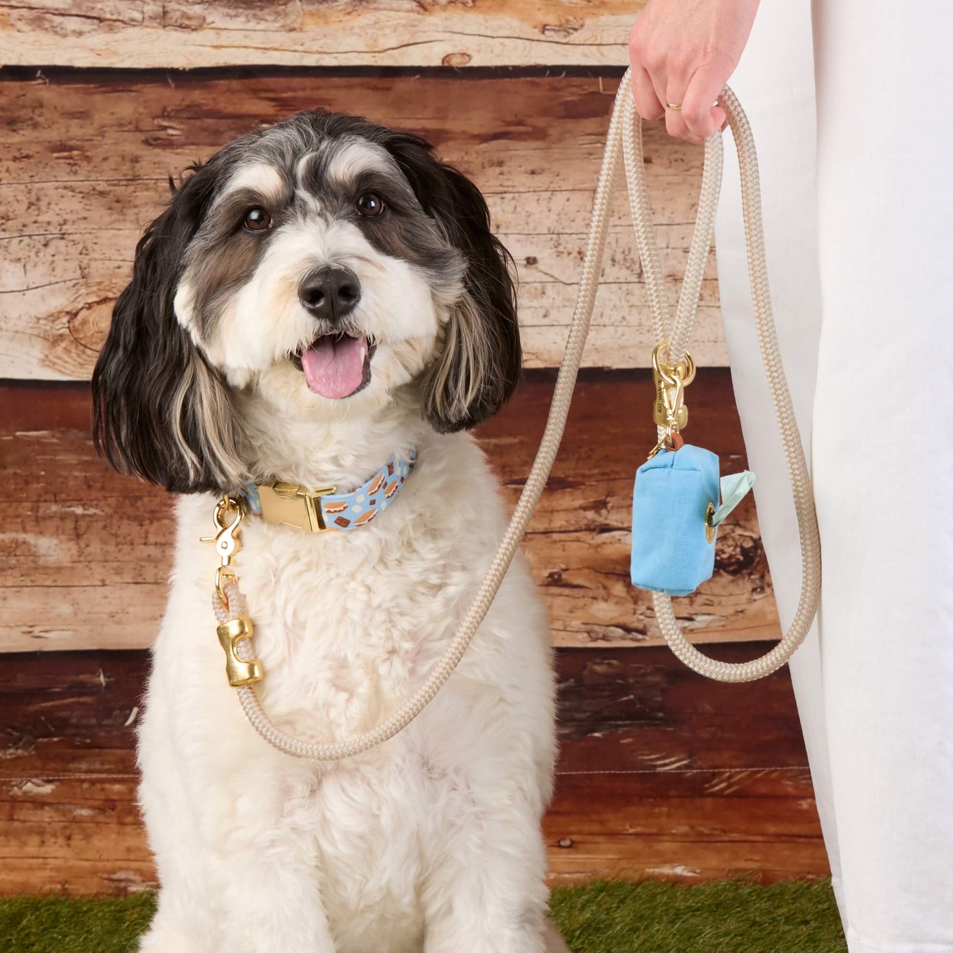#Modeled by Reese (30lbs) in a Medium collar and Standard leash