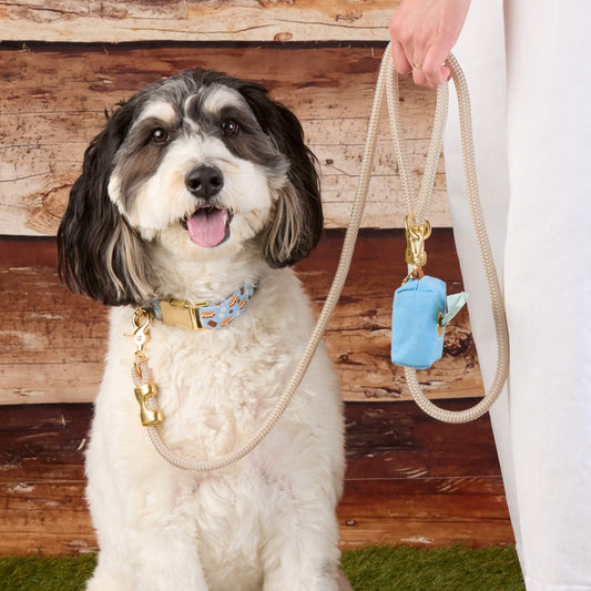 #Modeled by Reese (30lbs) in a Medium collar and Standard leash