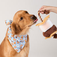 #Modeled by Aura (70lbs) in Large